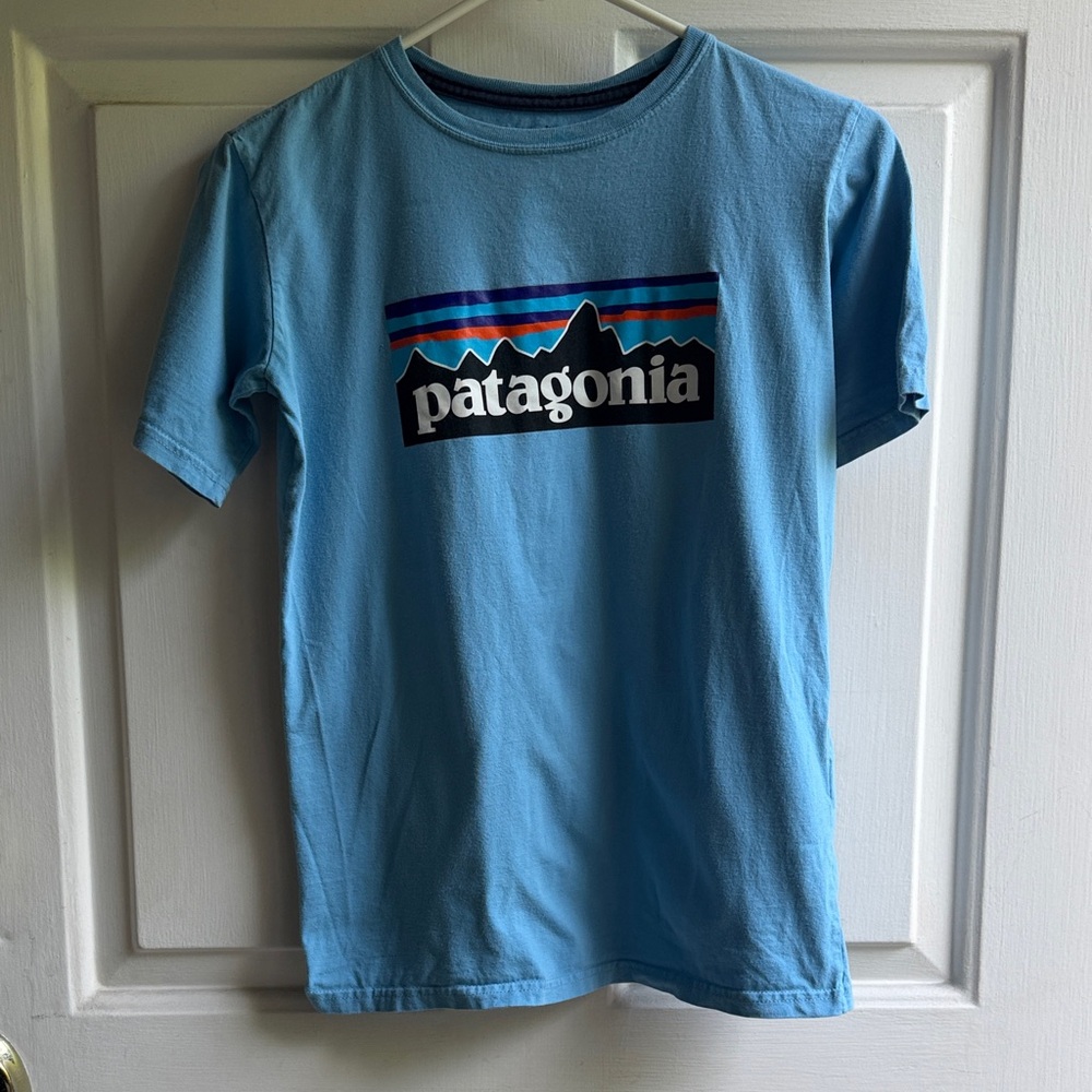 Patagonia Light Blue Short Sleeve Logo Tee with Multicolor Stripe